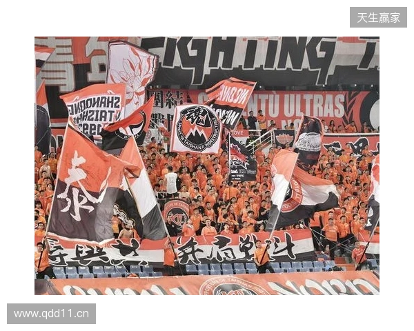 苗原谈泰山引援:账户里有200万水平购买力 但文旅决策尽量少花钱 苗原谈泰山引援:账户里有200万水平购买力 但文旅决策尽量少花钱